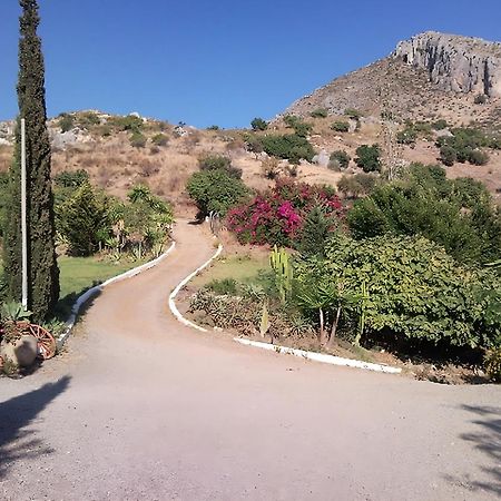 Finca Santa Matilde Málaga Buitenkant foto