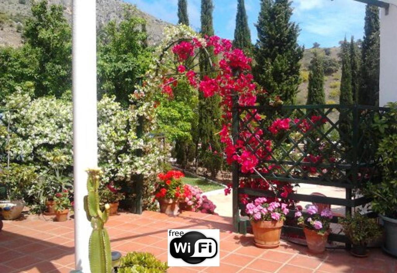 Finca Santa Matilde Málaga Buitenkant foto