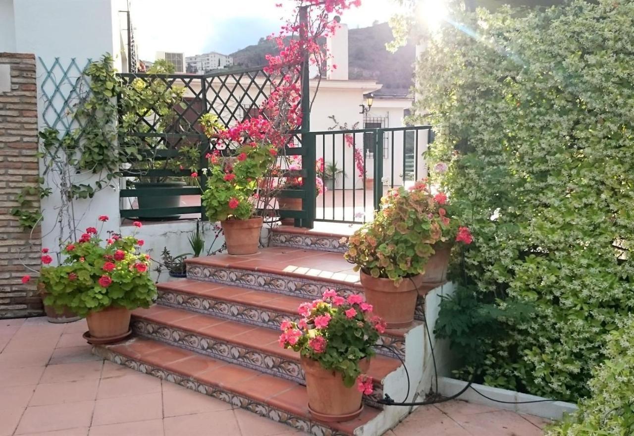 Finca Santa Matilde Málaga Buitenkant foto