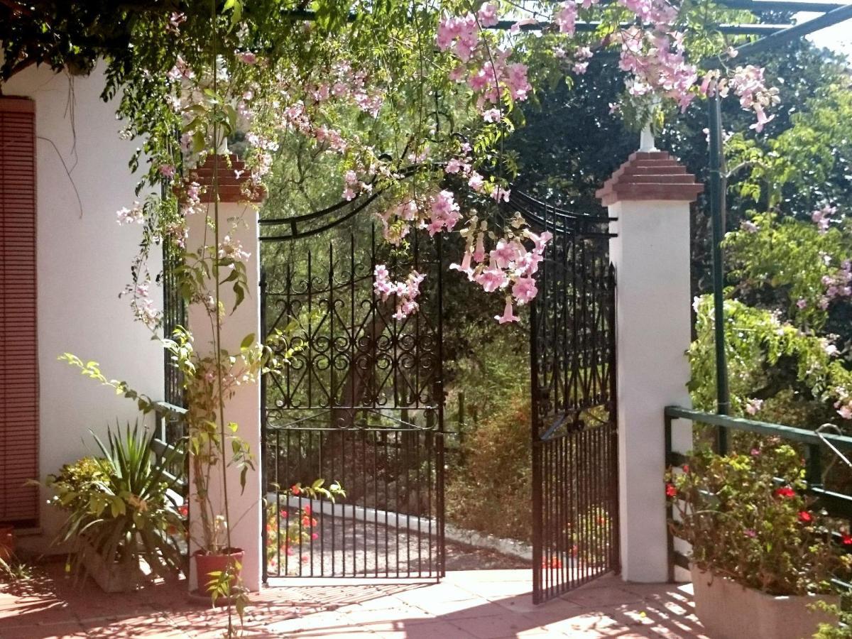 Finca Santa Matilde Málaga Buitenkant foto