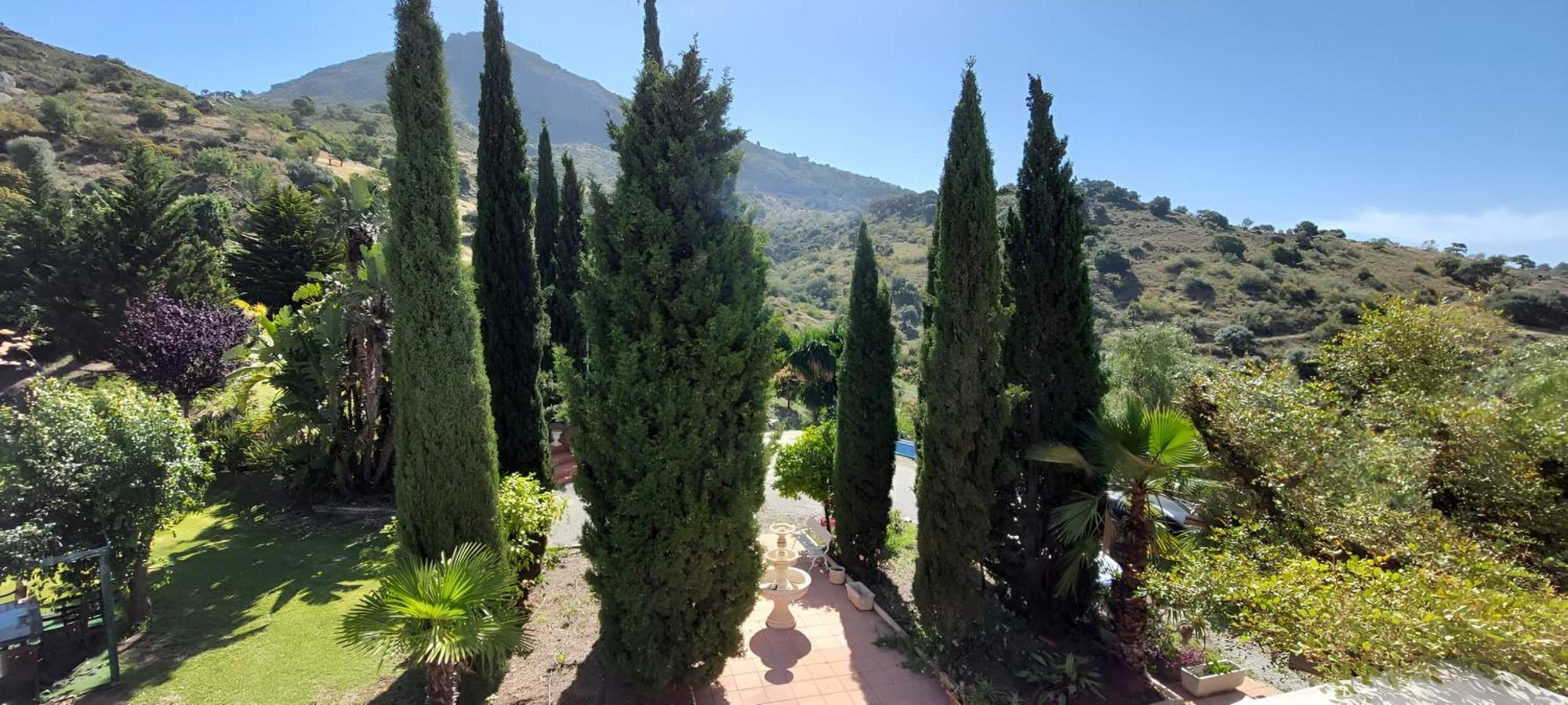 Finca Santa Matilde Málaga Buitenkant foto