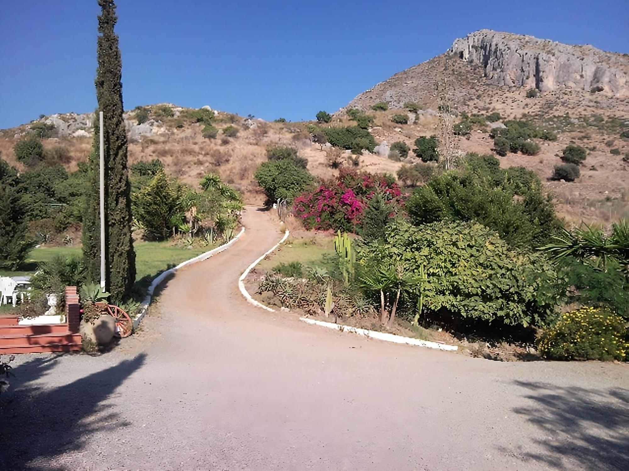 Finca Santa Matilde Málaga Buitenkant foto